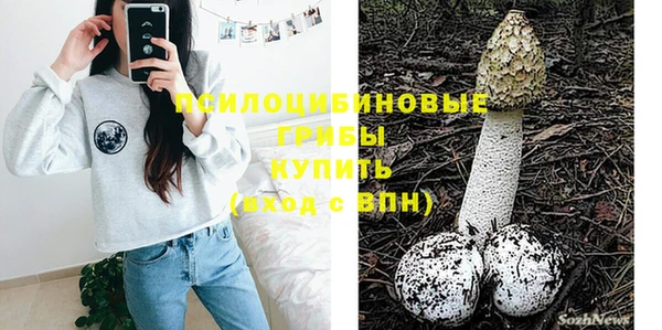 бошки Горнозаводск