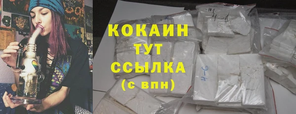 ECSTASY Горняк
