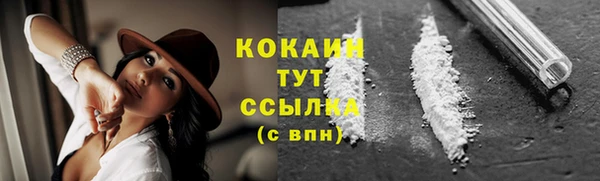 гашик Горно-Алтайск