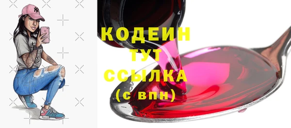 ECSTASY Горняк