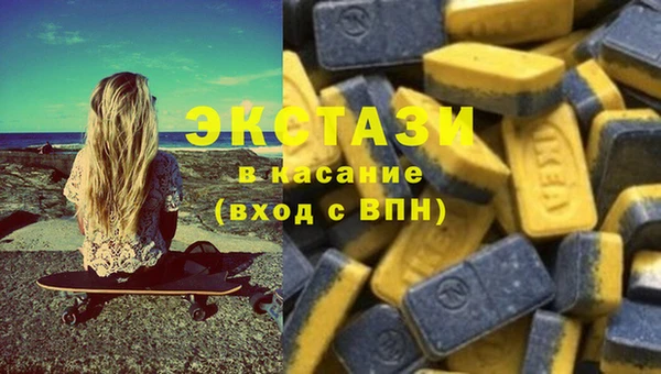 ECSTASY Горняк