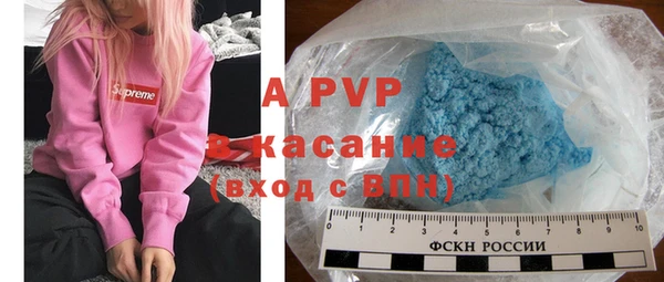 ECSTASY Горняк