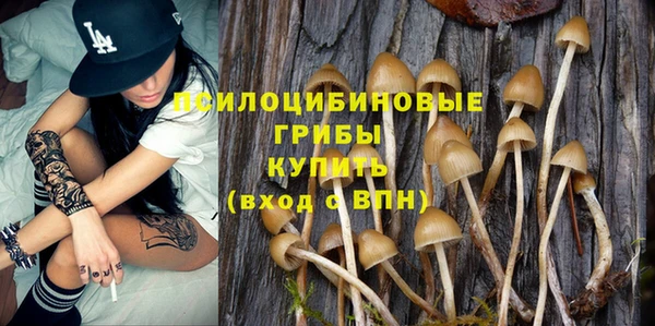 ECSTASY Горняк