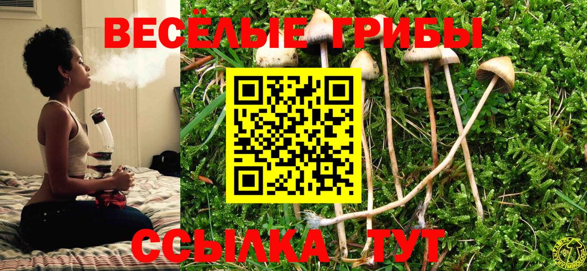 Мценск  Галлюциногенные грибы ЛСД  Вход с VPN  Галлюциногенные грибы Psilocybine cubensis 