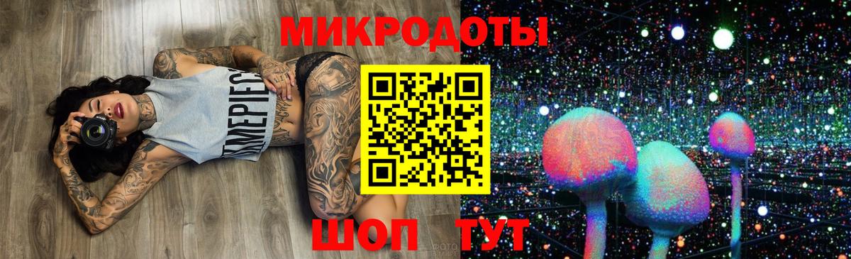 Галлюциногенные грибы Psilocybine cubensis Мценск