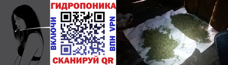 Конопля White Widow  Мценск 