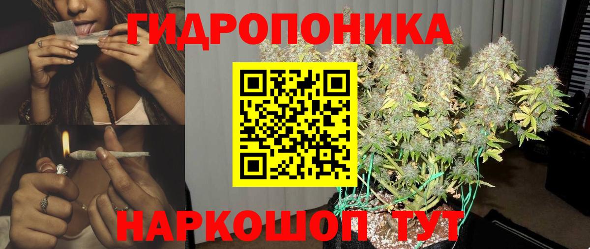 Бошки марихуана White Widow Мценск